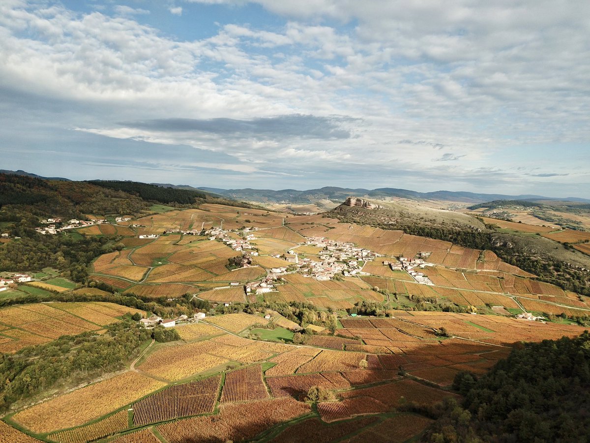 YvesJusot's tweet photo. #Drone shoots in my native area! #vineyard #burgundy #solutré #vergisson #wine #autumn #aerialphotography  @DroneLogbook https://t.co/EB9aG1yXq3