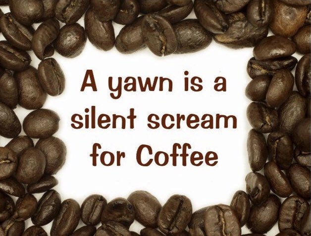kengordon's tweet photo. @mampebbles #coffee #coffeenow #wakeupsunday @AJacksonTV @SpaceCoastSkies https://t.co/92RLPjqkpC