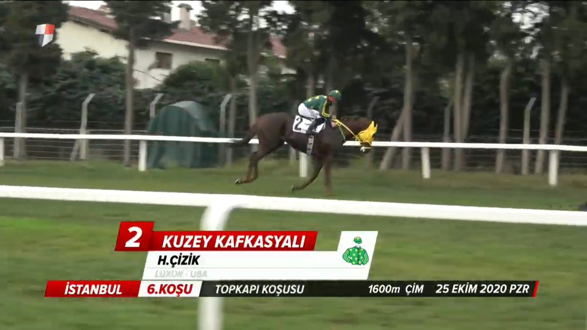 Kuzey Kafkasyalı – Topkapı Koşusu 2020