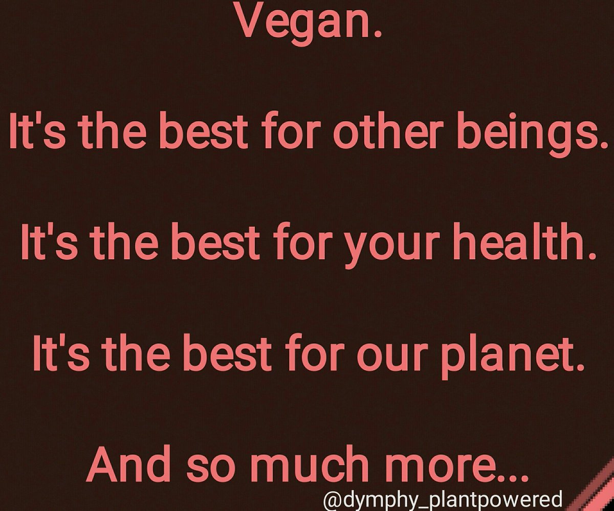 DutchVeganFami1's tweet photo. Repost from dymphy_plantpowered on instagram #vegan #veganism #govegan #veganforlife #veganlifestyle #savetheanimals #savetheplanet #veganactivist #thefutureisvegan #animalrightsactivist #veganforeverything #endspeciesism #noplanetb #extinction #survival https://t.co/f5hXY7CWWs