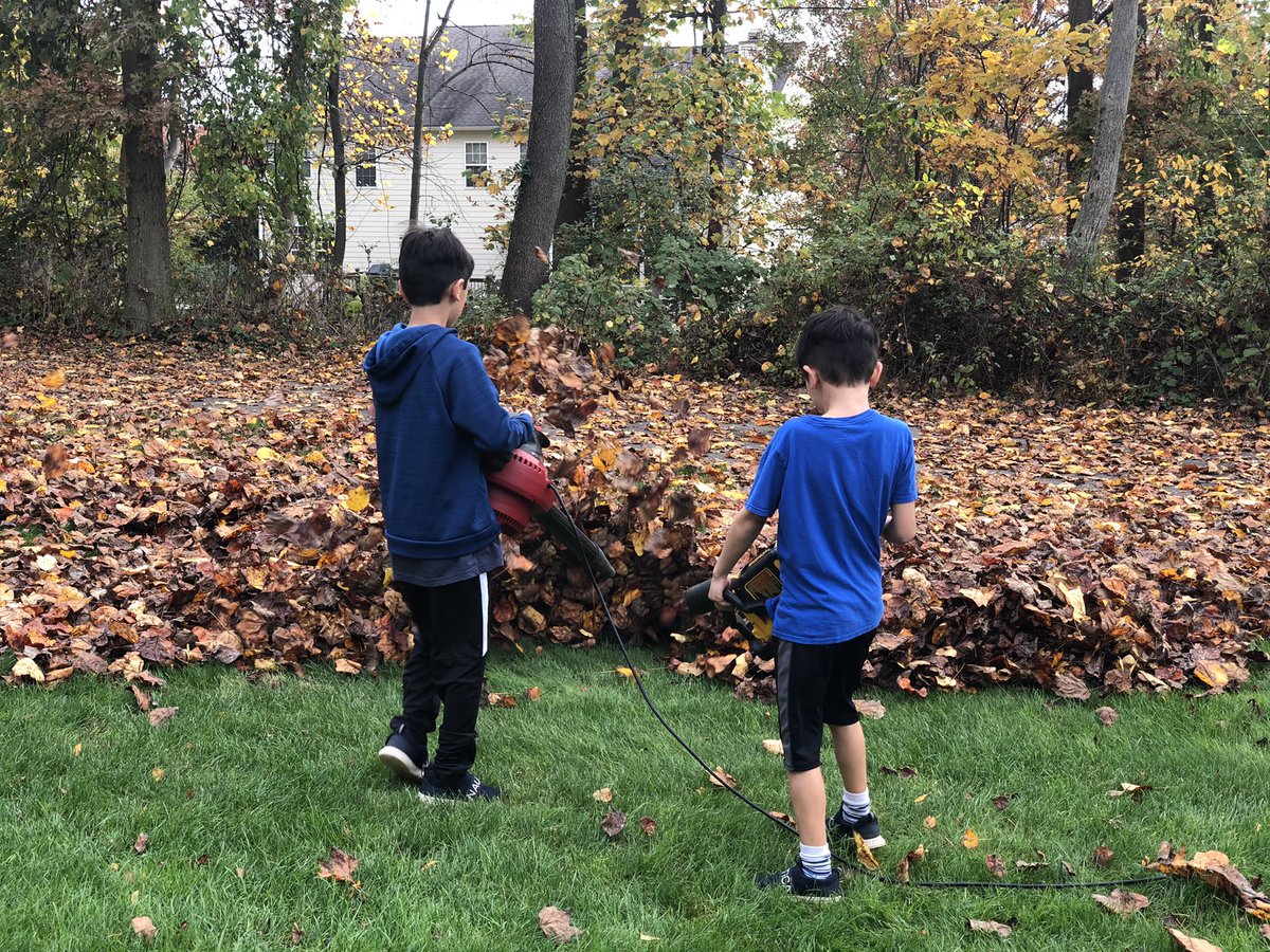 charlottebui's tweet photo. It was fun...for the first hour #fallfun #leafmania #justthebeginning https://t.co/SzfZ36b1EQ