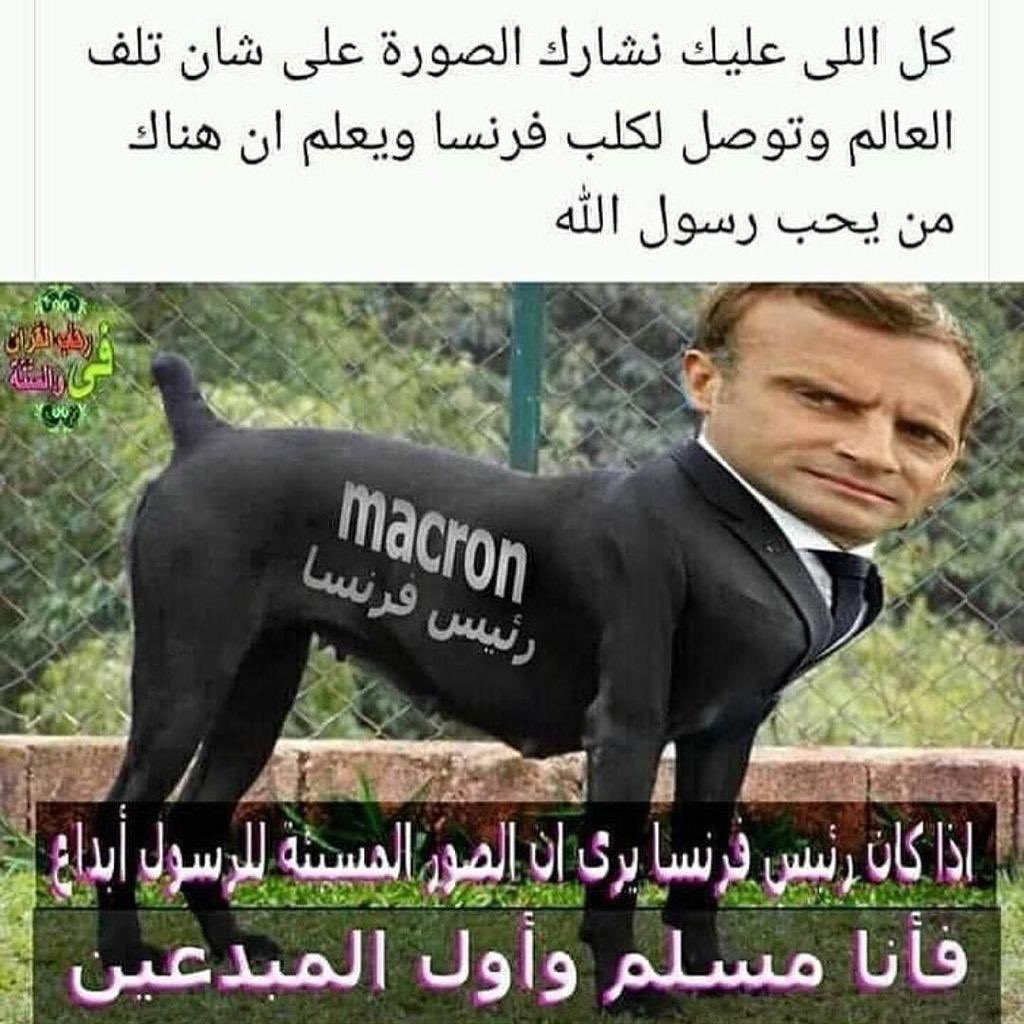 sjja66's tweet photo. @EmmanuelMacron donkey https://t.co/RAMkEDTXG6