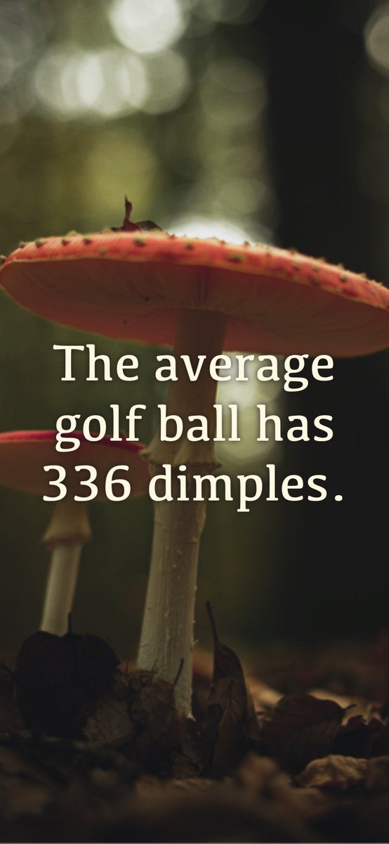 Redheadwytch's tweet image. I’ve been posting these on FB for more than a year, I don’t know why I’ve never thought to put them on here, too. Time to start! #RandomFactOfTheDay