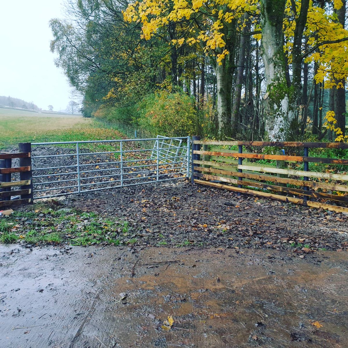 DanielH22339607's tweet photo. A few snaps of last weeks work! 12 months on my own now and the quality of work gets better with every job. #agriculture #fencing #postdriver #postandrail #stockfencing https://t.co/0LffzJQs7B
