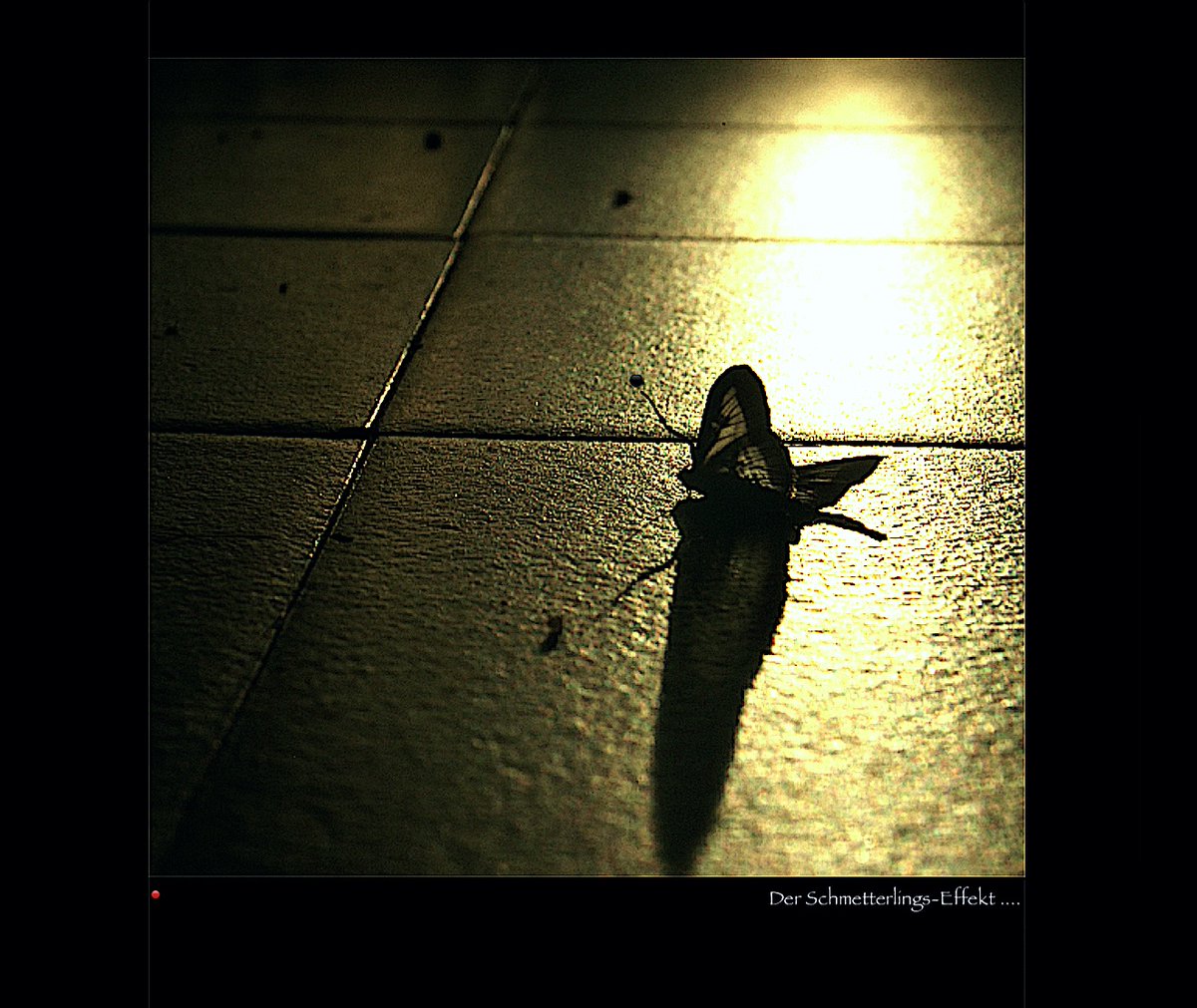 UnbesetztSynth's tweet photo. Der Schmetterlings-Effekt #Sunnandei #Chōchō #Moððe #Geisterhaft #OneFourFourOneHours #零 @drunkenpoet92 @TinSoldiere @haysfizz @VeryRecords ::🌓! https://t.co/c35QQdinw5