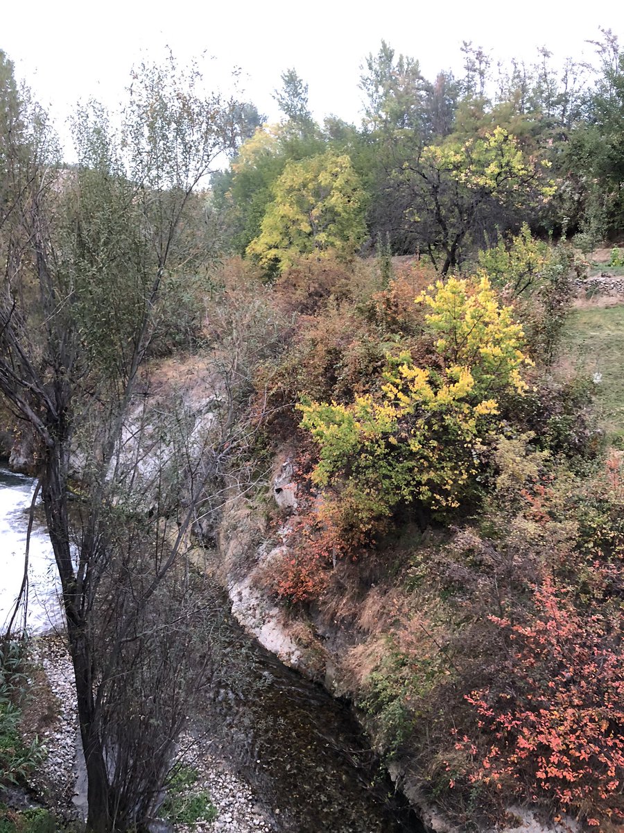 taner aslan (@taslan2334taner) on Twitter photo 