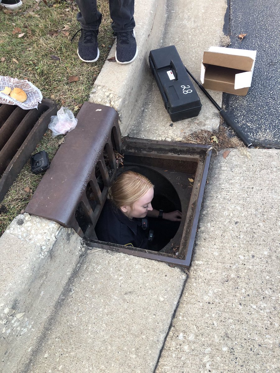 ChampaignPD's tweet photo. Meet the newest addition to CPD!
Yesterday we received many reports of a kitten stuck in a storm drain. Officer McElwee showed up, crawled into the drain (where her mask was lost) and was able to rescue the kitten using toys to help get the kittens trust. She now has a new pet! https://t.co/ncMV9sQkPu
