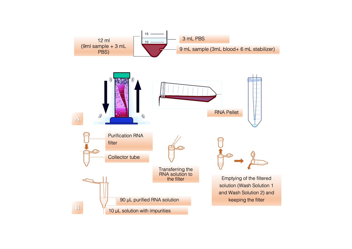 MihaiTrofenciuc's tweet photo. Proudly presenting our latest original research article via @SciReports❣️ Toll-like receptor 4 (TLR4) expression is correlated with T2* iron deposition in response to doxorubicin treatment: cardiotoxicity risk assessment❣️https://t.co/uLf2fOpU3W @escardio  @itmorar #CardioTwitter https://t.co/ZonBBJPD30