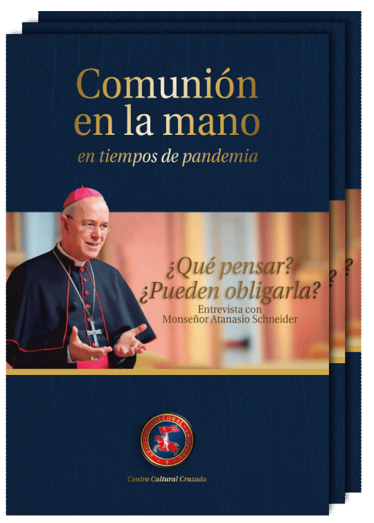 LuisFer24261134's tweet photo. ¡Es el momento de rescatar la comunión en la boca!
Hágase un apóstol del Santísimo Sacramento ayudando a 
 la publicación de este librito: “Comunión en la mano en tiempos de pandemia ¿Qué pensar? ¿Pueden obligarla?”. Lleguemos a un millón de ejemplares.
https://t.co/p43VJsZO7n https://t.co/J2sWPFHd5C