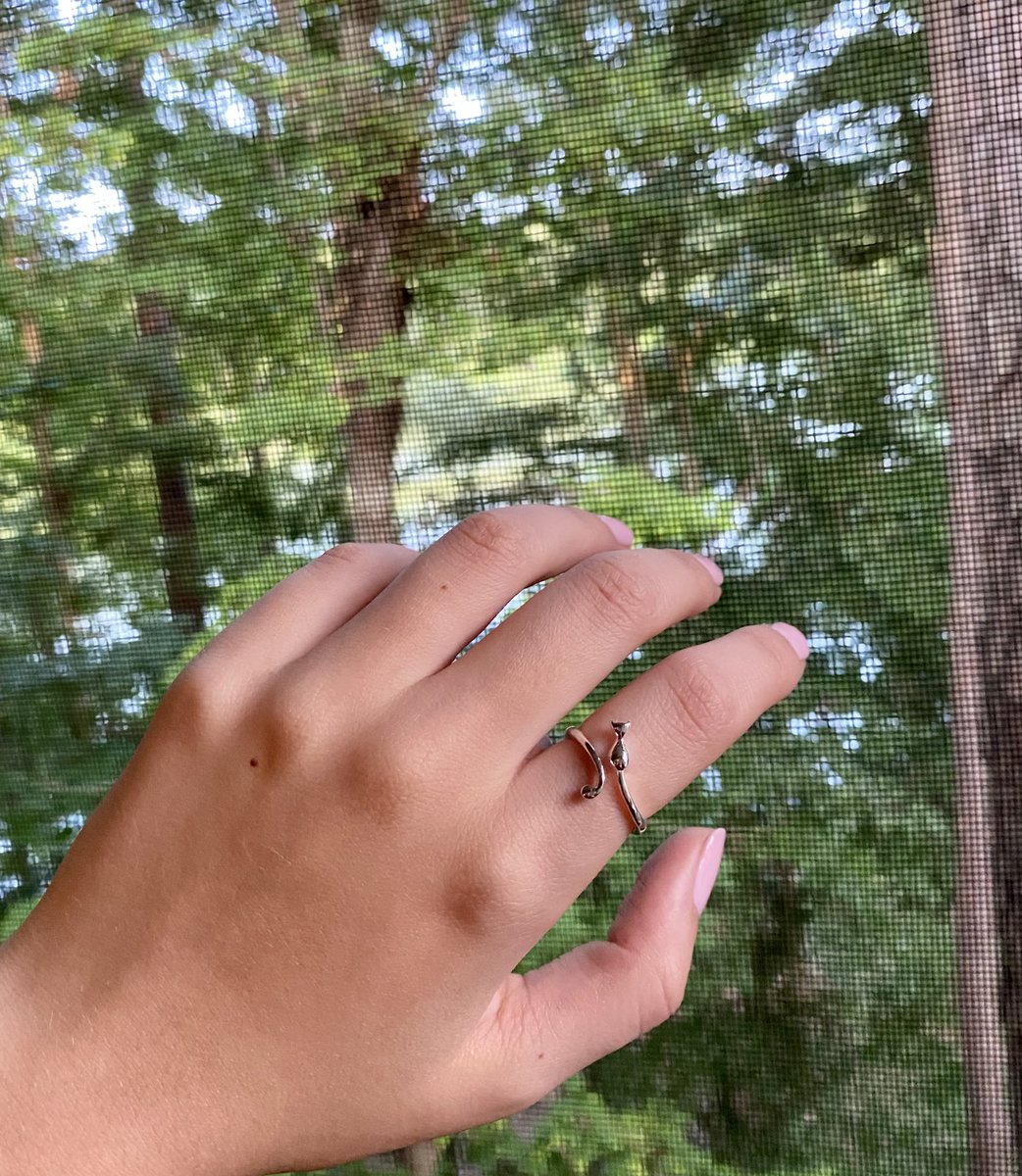NameIsLauraa's tweet photo. Adjustable rings available ✨ https://t.co/DmNicHw5UX