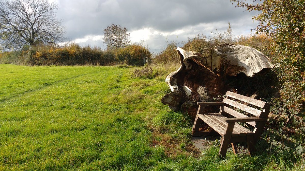 Yesterday I explored some of my local area, starting on the High Street, over the River Lodden, through the earthwork remains of King's Court Palace...
facebook.com/groups/BethFoo…

#Gillingham #Dorset #BlackmoreVale