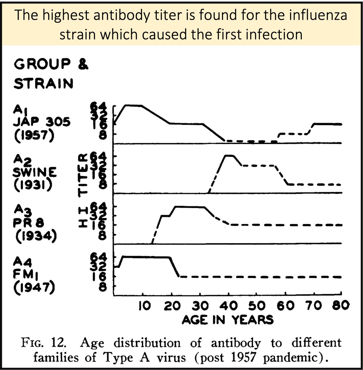 6/Francis and others observed that sequential exposure to new viral variants induces preferential antibody response to the FIRST virus strain encountered.As some have put it, someone's "First Flu is Forever". https://www.jstor.org/stable/985534?seq=1 https://pubmed.ncbi.nlm.nih.gov/27846592/ 