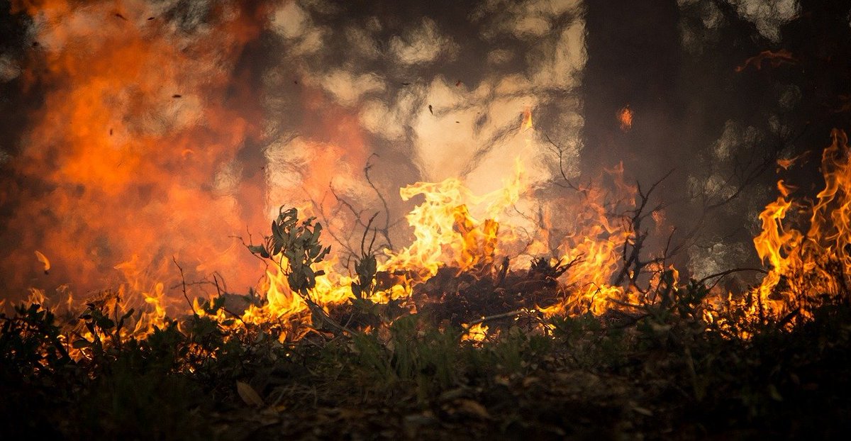 Wildfires demonstrate cascading effect of #ClimateChange. Want to protect the world against the environmental challenges it faces? Learn how to with <a href="/NRInstitute/">NRI</a>'s Global Environmental Change MSc bit.ly/2BIPv08 taught by research-active staff. @FESGreenwich