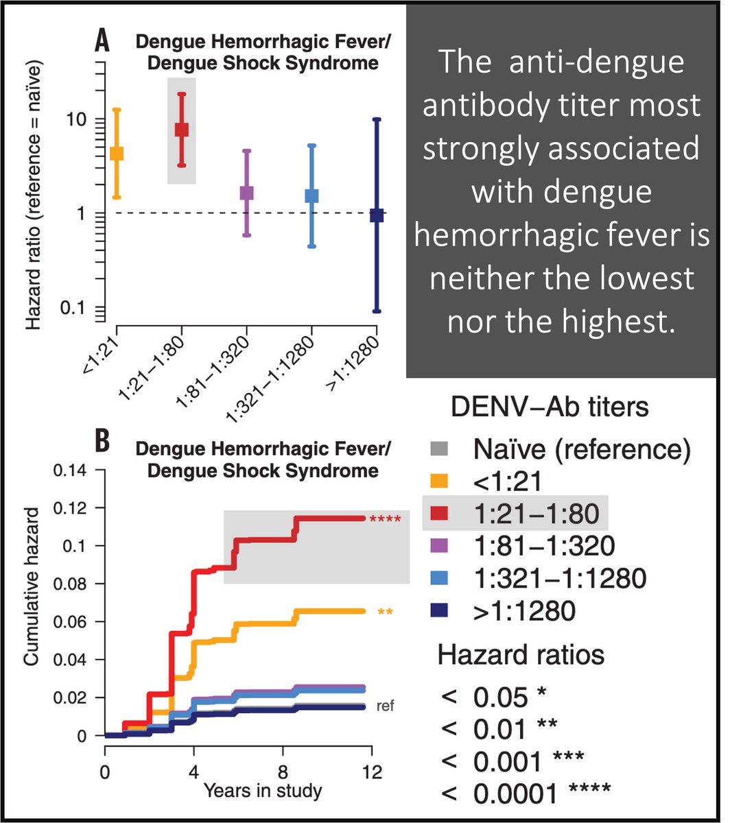 10/That a narrow range of anti-dengue antibody titers is a risk factor for DHS was shown in a study of 6684 children with antibodies titers against Dengue.<1:21 = mildly increased mortality1:21-1:80 = HIGHEST mortality>1:1280 = lowest mortality https://pubmed.ncbi.nlm.nih.gov/29097492/ 