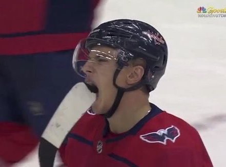 day 77 of nhlers as small animals: vrana got a bit hungry on the ice 