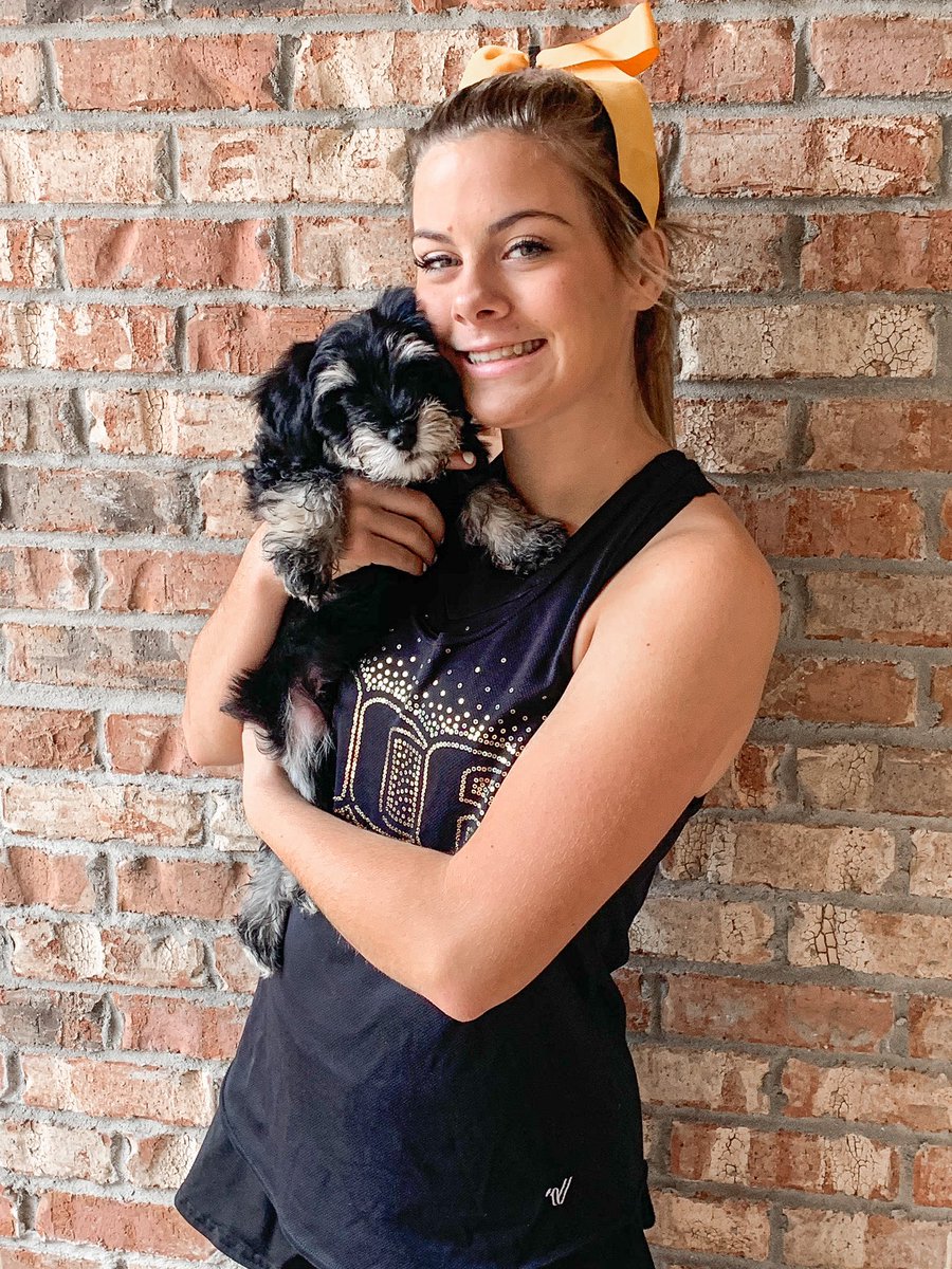 gingerdjackson's tweet photo. Good luck to Macy Blair and all of the ACE teams at MEET THE TRIBE Day 2!!!!! #MTT2020 
So excited ~ thank you Happy Hooper for this AM-ACE-ing Day! ❤️💛🖤
@acetribe @TRIBEHIVE1 @FloCheer @Nfinity @VarsityAllStar https://t.co/8ekanS2wIX