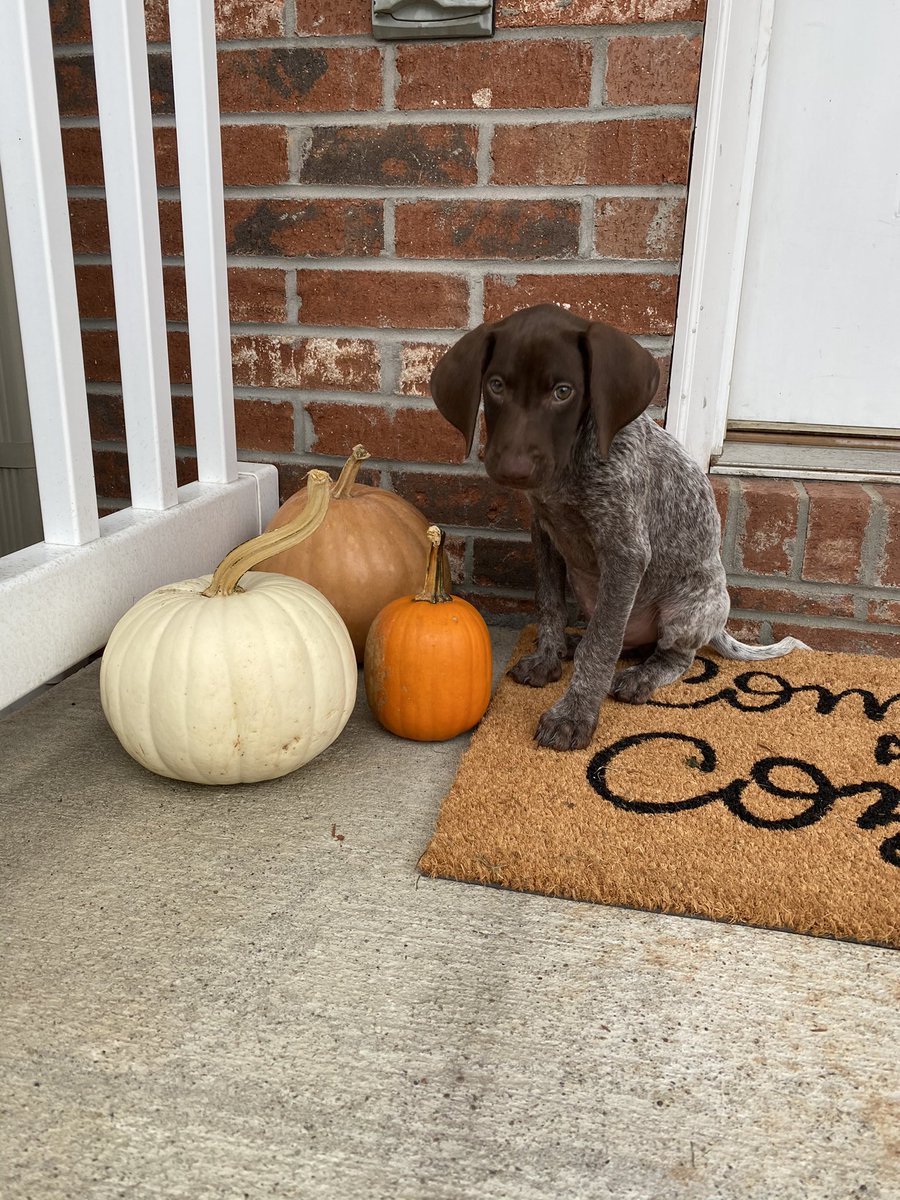 Couurttt's tweet photo. when mom makes you have a fall photoshoot 😒 https://t.co/68zZqAu1Lj