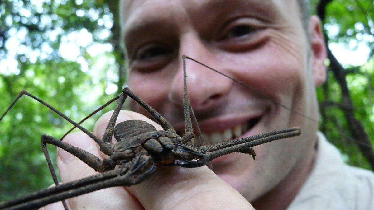 Dr. Mike Leahy, expert v oboru virologie a odvážný objevitel, považuje za své poslání vyhledávat nejhorší z miniaturních a rychle se množících živých organismů, jež obývají náš svět.🦂🦟

Infikuj mě! 🔜 zítra v 8:00 na Spektrum.🎥