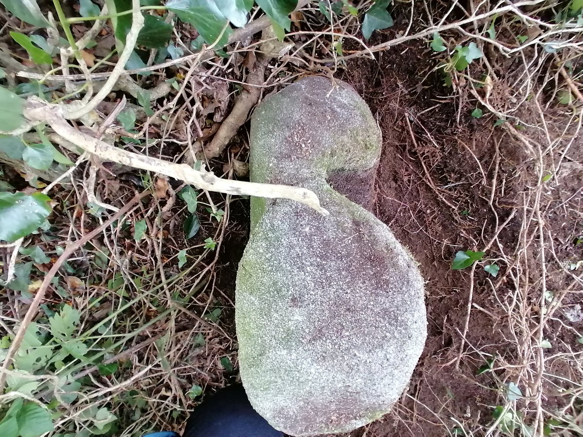 saveknockiveagh's tweet photo. A fab day of practical heritage conservation in Drumballyroney Churchyard today. Largely neglected, we felt it needed some care. Good thing too - look what we found hiding in the undergrowth! Possible #bullaun stone. #communityarchaeology #saveknockiveagh #archaeology https://t.co/ivh1ZsZ9t0