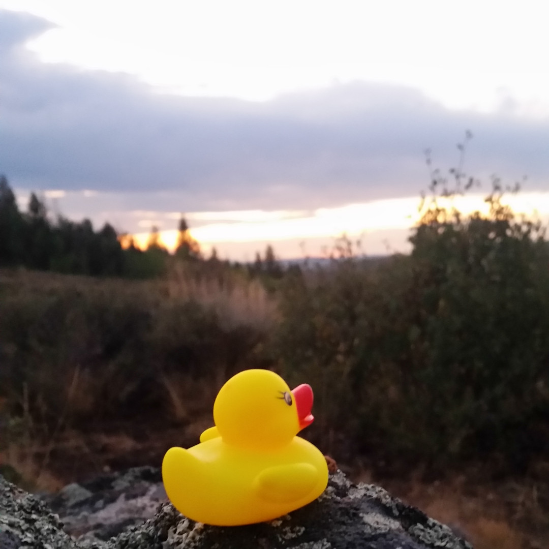 “Don't forget: beautiful sunsets need cloudy skies...” --Paulo Coelho

#peppertheduck #sunset #floattank #santacruz #floatationtherapy #floattherapy #relaxandbreathe