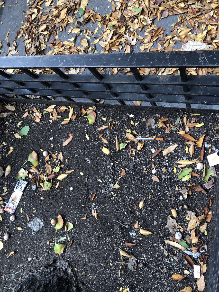savetheuws's tweet photo. Sad sighting (and health hazard) becoming all too common on the UWS: drug needles in 79th street's planters #savetheuws @HelenRosenthal @LindaBRosenthal @galeabrewer @GaleBrewerNYC @ny1 @errollouis @nypost @NYDailyNews @NBCNewYork @CBSNewYork @fox5ny @ABC7NY @PIX11News https://t.co/XSDYrWUE3W