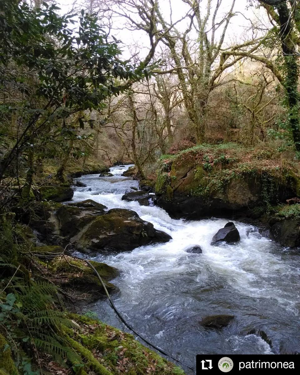 ComposTours's tweet photo. 📻🌍 Programa #esRuta 1⃣0⃣8⃣ en @galiciaesradio sobre #TOURO 🥾🏞
📆🕧 Martes 27/10/2020 a las 12:30 Descubre #Galicia con @ComposTours💚🎙SINTONÍZANOS🔊 https://t.co/OiVwoT46uU
•
#compostours #esradio #esradiogalicia #ulla #acoruña #santiagodecompostela #turismogalicia #xacobeo https://t.co/BV30h4a4Wo