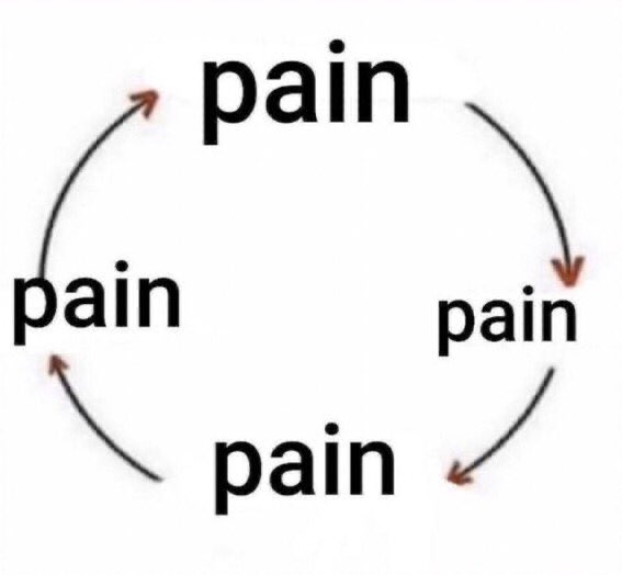 nat 🍄 tweet media