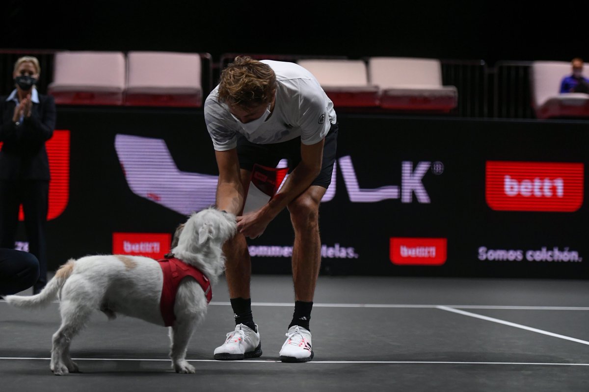 18/10/20 d. Auger-Aliassime 6-3 6-3
25/10/20 d. Schwartzman 6-2 6-1
Two brilliant performances when it mattered most for @AlexZverev at the @bett1hulks! π©πͺ https://t.co/5qCXdWhlsY