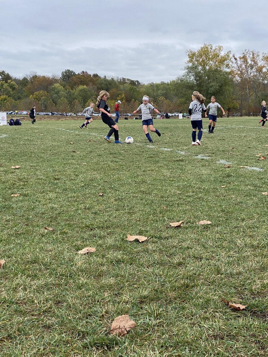 ElizabethCullu4's tweet photo. Way to go TFA G12 Elite! Champs at the Fall City Festi-Ville Tournament! Played a division up and still killed it! Such a fun group of girls and parents!! #TFAon3 #TFAG12Elite @TFA_Cincinnati https://t.co/SECWQX7Th0