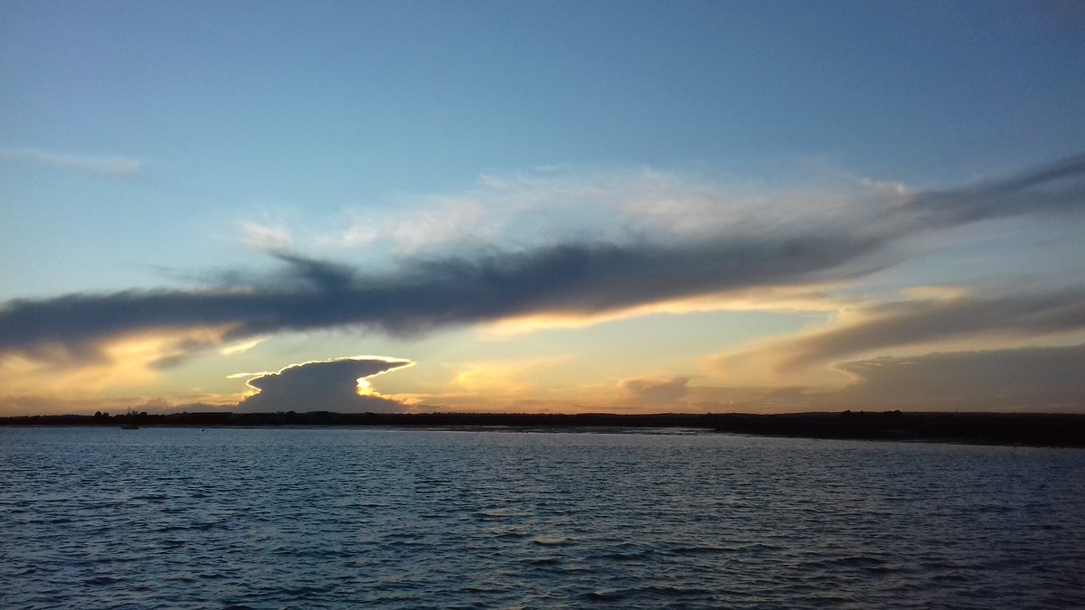 SwallowBirding's tweet photo. Great to be out guiding on Thames Barge Hydrogen today. We saw GREAT EGRET, PEREGRINES, GREENSHANK, RB MERGS, MARSH HARRIERS, 3000 GOLDEN PLOVER, GREY & COMMON SEALS + some fabulous food, lovely sunset and views of Mars, Saturn and Jupiter! #TopSailCharters #saltmarshcoast #barge https://t.co/AwOAEkiFfB