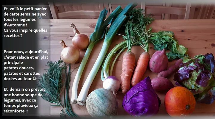 AmapRonceray's tweet photo. Les légumes de la semaine : oignons, poireaux, carottes, patates douces, potiron, chou rouge et melon. Que faites-vous avec tout ça ? https://t.co/DwgyPxKnDc