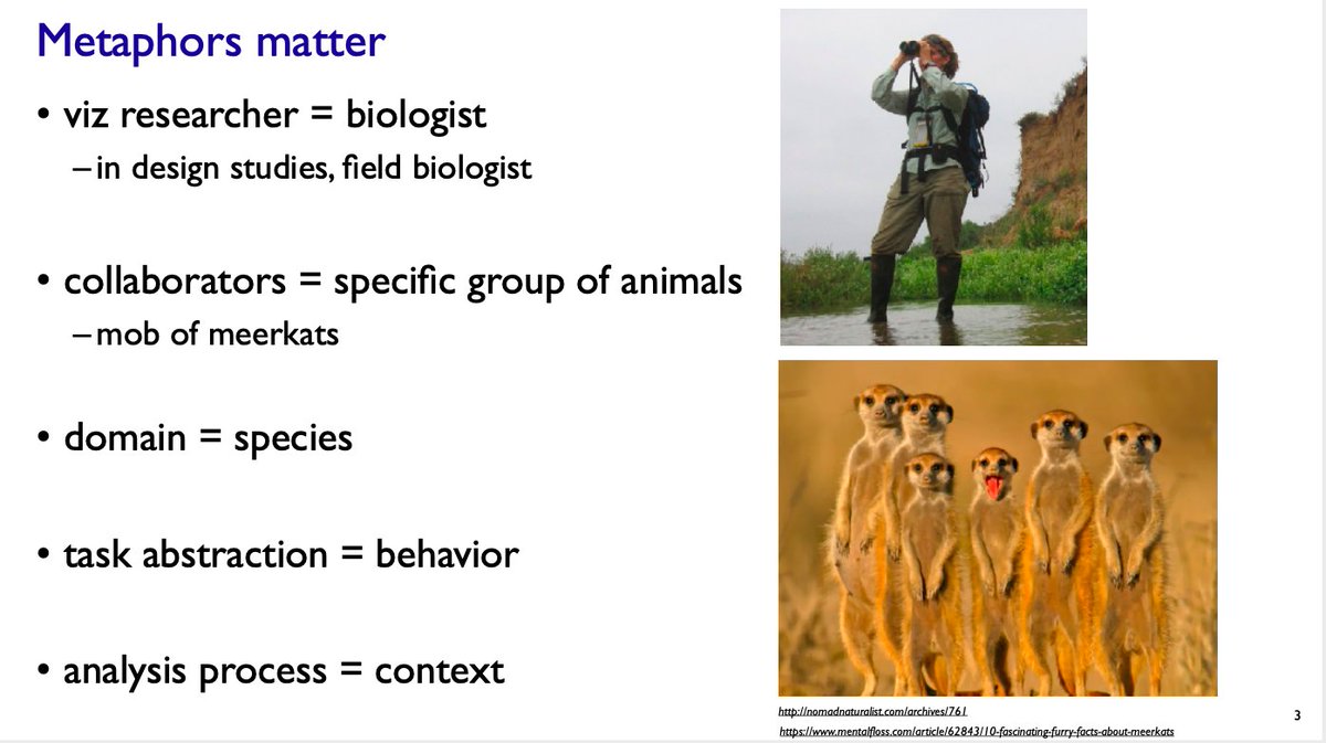 tamaramunzner's tweet photo. @belivworkshop Half of my #ieeevis #beliv fireside was an extended metaphor around meerkats, truly a red letter day on the Exploiting Cute Animals To Make Serious Research Points front :-) https://t.co/6b8d447vld