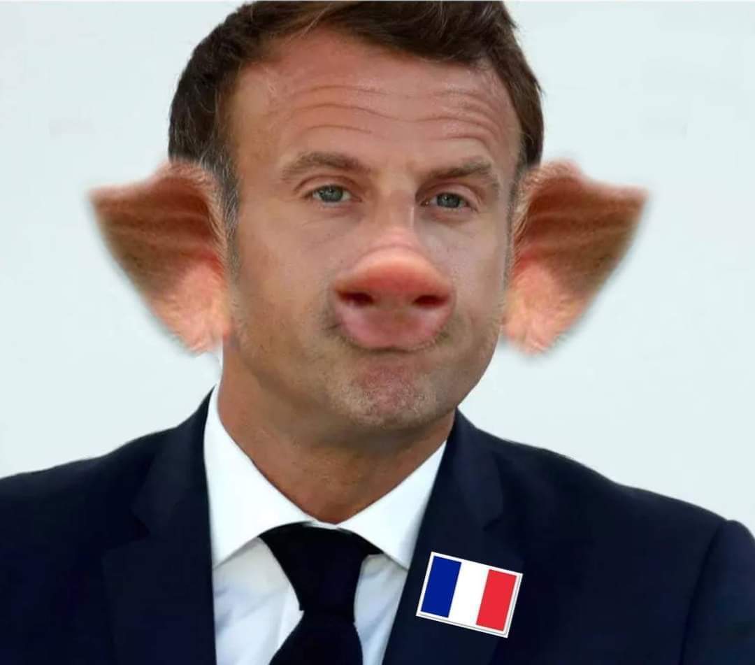 Proud to be muslims 
#الا_رسوال_الله 
#إلا_رسول_الله_يا_فرنسا 
#ماكرون_خنزير_فرنسا