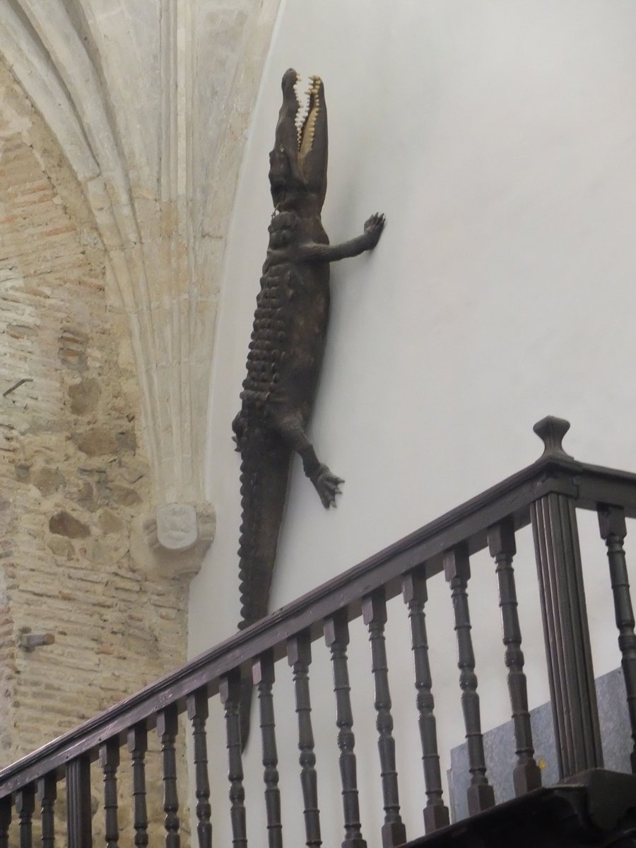 I found two other crocodiles, not ceiling, but wall crawlers, and they reside in Spain, one a church wall in La Mancha brought back from the Nile 400yrs sho and the other resides down a street in Medina de Rioseco, looking down at passerby’s.