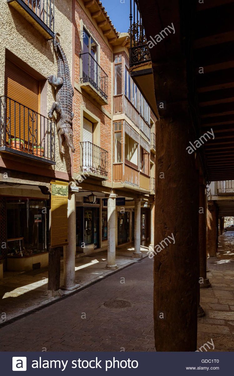 I found two other crocodiles, not ceiling, but wall crawlers, and they reside in Spain, one a church wall in La Mancha brought back from the Nile 400yrs sho and the other resides down a street in Medina de Rioseco, looking down at passerby’s.