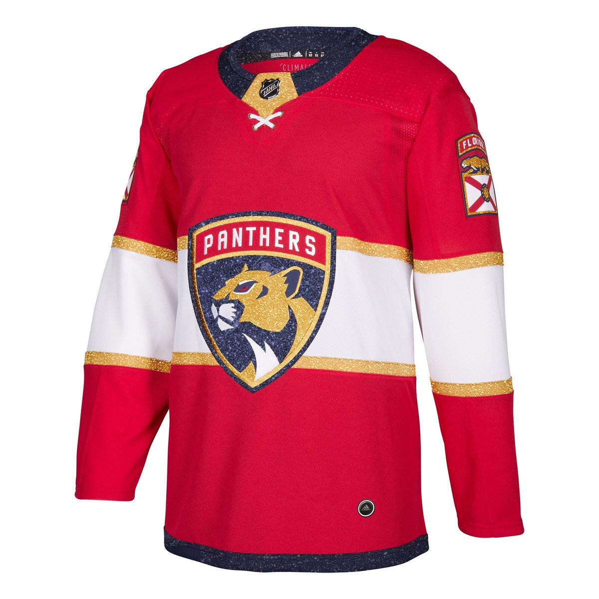 florida panthers