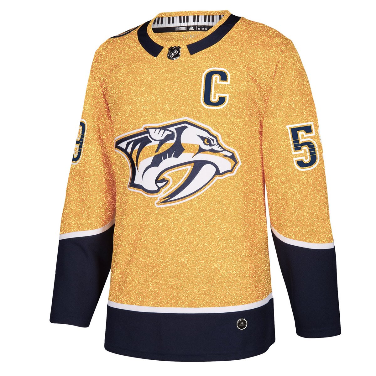 nashville predators