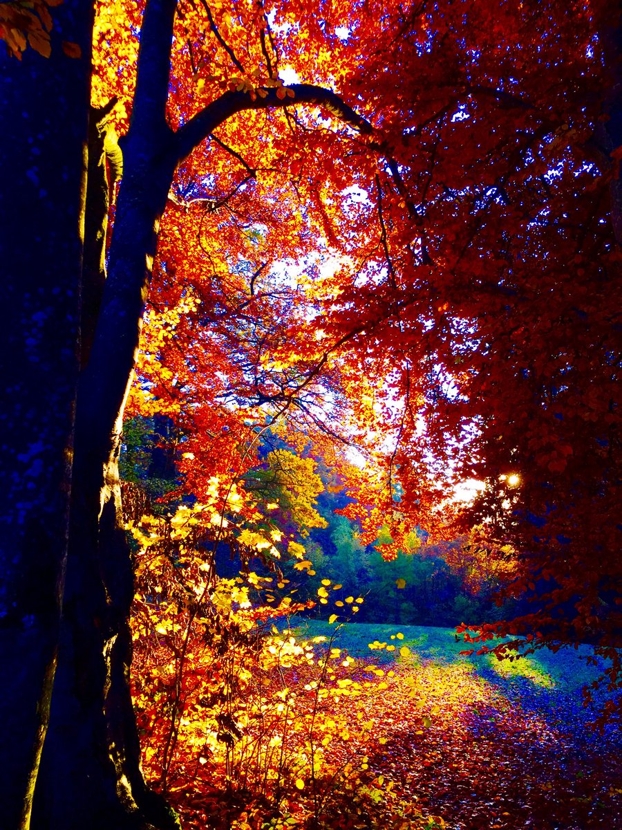 Good Morning, All!!! https://t.co/Wf5qSqd8x5