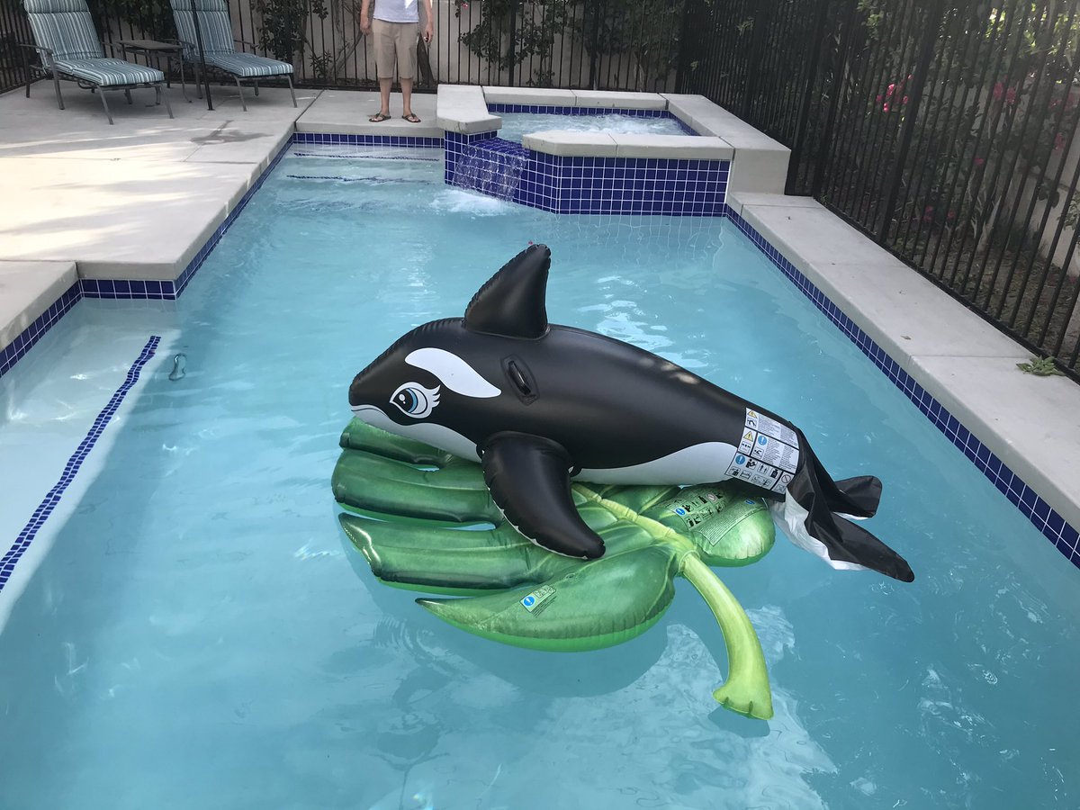 DreamscapeInvst's tweet image. The view from our soon to be on the market property in Palm Springs. #flippinseniors  are at it again!