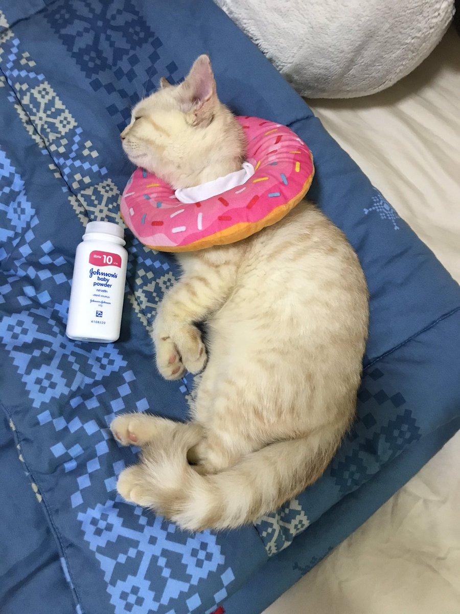 บีมกับน้องๆ tweet media