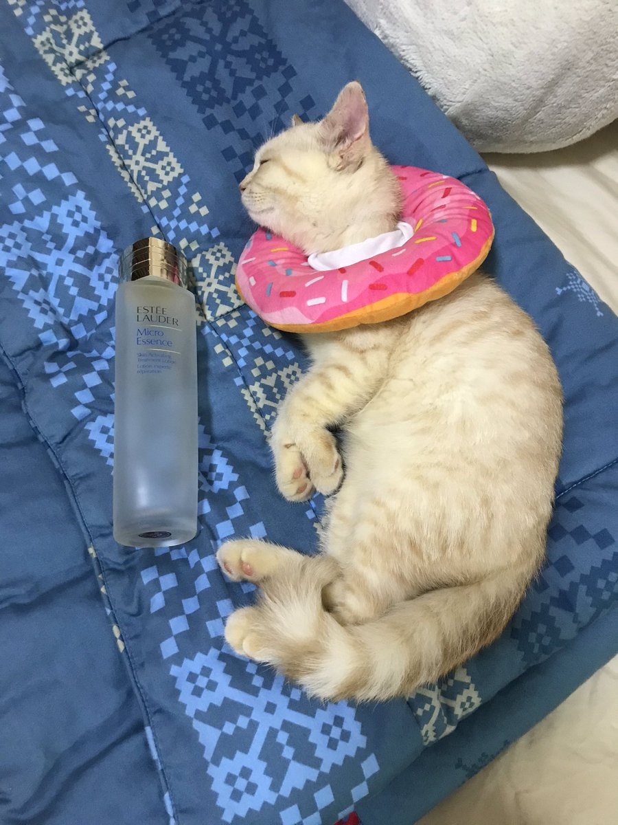 บีมกับน้องๆ tweet media