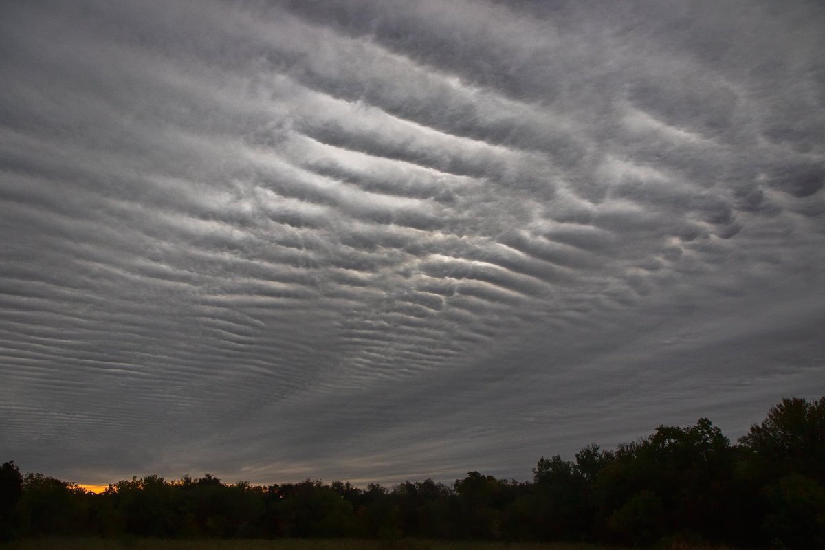 Ronnie Prcin tweet media