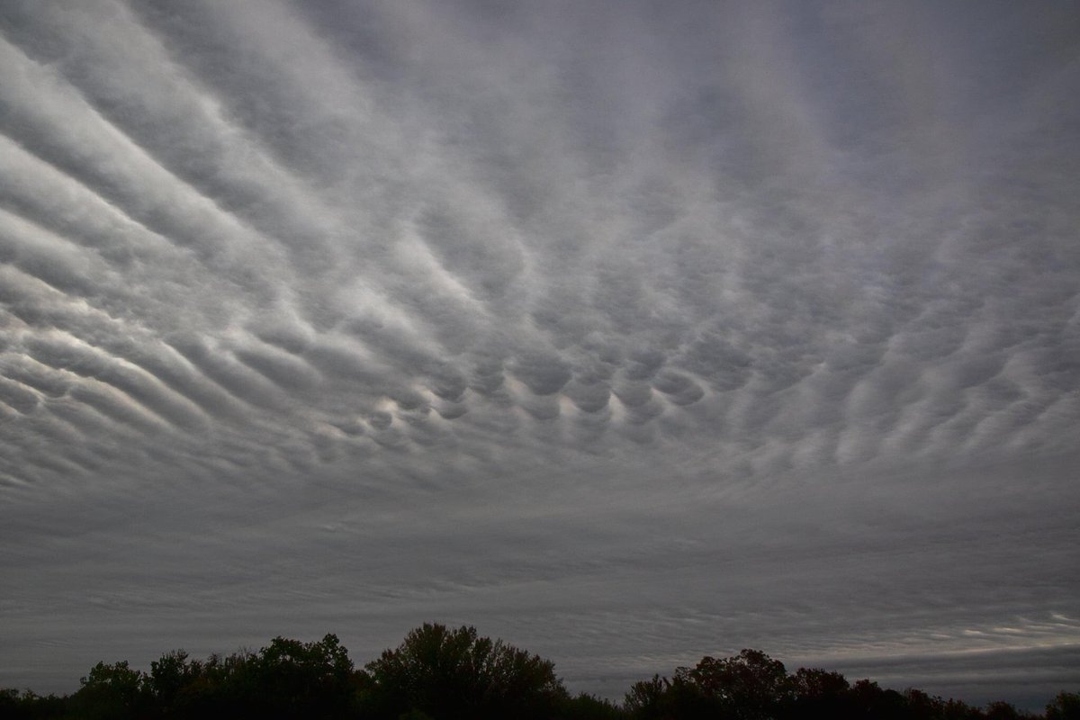 Ronnie Prcin tweet media