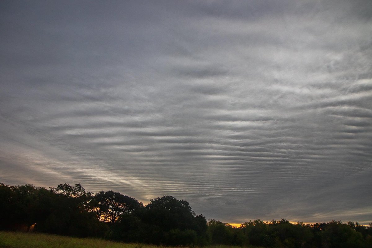 Ronnie Prcin tweet media