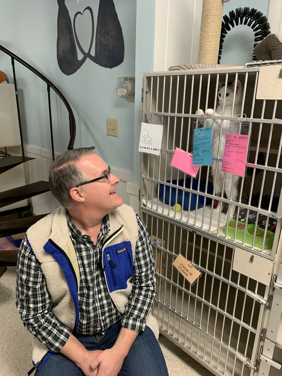 DAWS_CT's tweet photo. BTS of the DAWS virtual ball 2020! 💫 Special thanks to everyone on our production team, Rich Minor for being our host, Alice Hutchinson for being our honoree, and for all the adopters, supporters, volunteers, and staff for sending in submissions! The night was a great success! https://t.co/rE1V2M045T