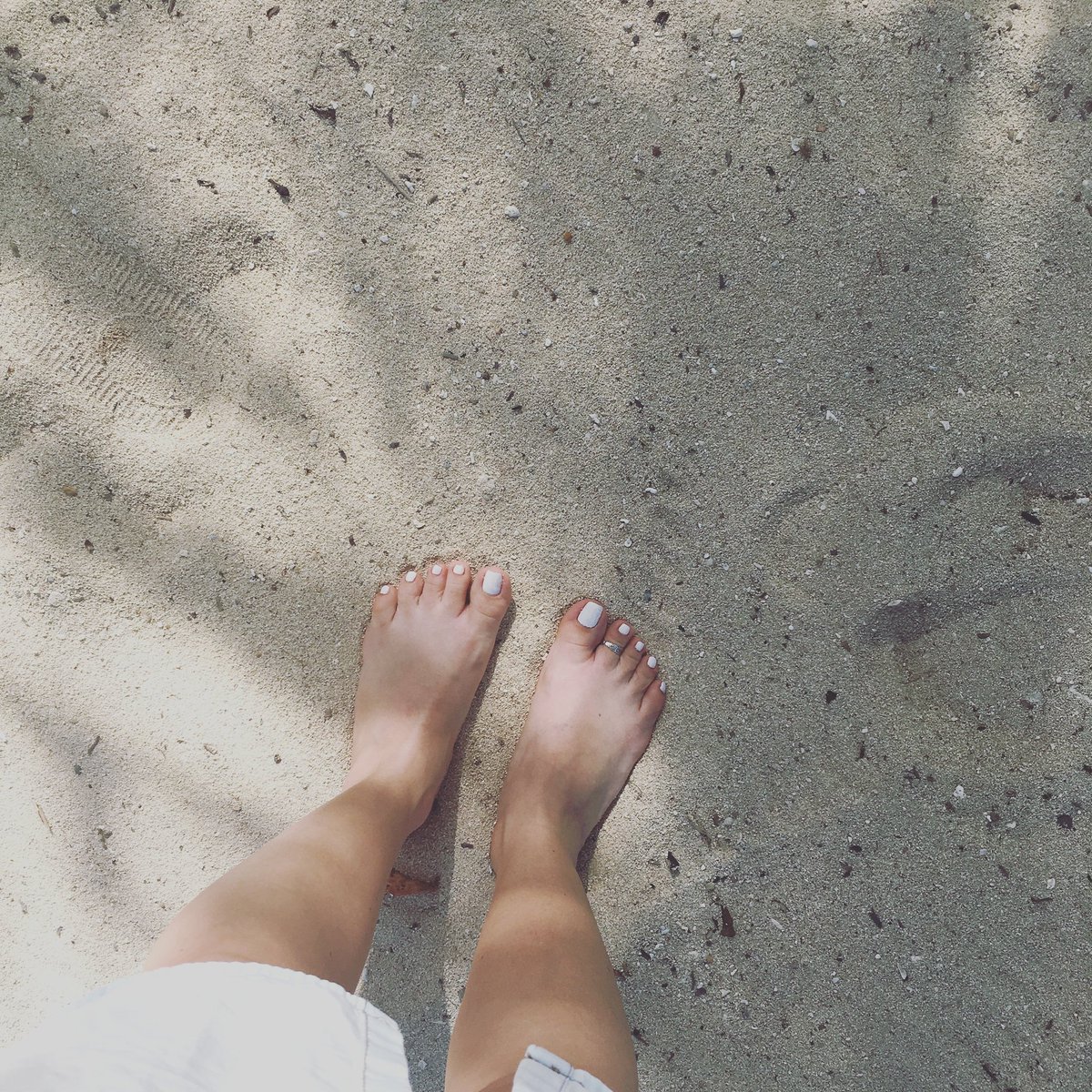 SensualBellaX's tweet photo. Part two on the beach 🏖
😍
☕
☀
👠
#findom #findomnl #geldslaaf #slave #giantess #feet #barefeet #pedicuredtoes #pedi #footfetishcommunity #footslave #paypig #highheels #heels #slaveheels #domination #dom #princess #feetslave #beachfeet #sandfeet #Zanzibar https://t.co/eNViBNGnGT