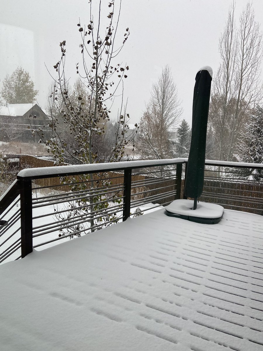 Sarah Pierce tweet media