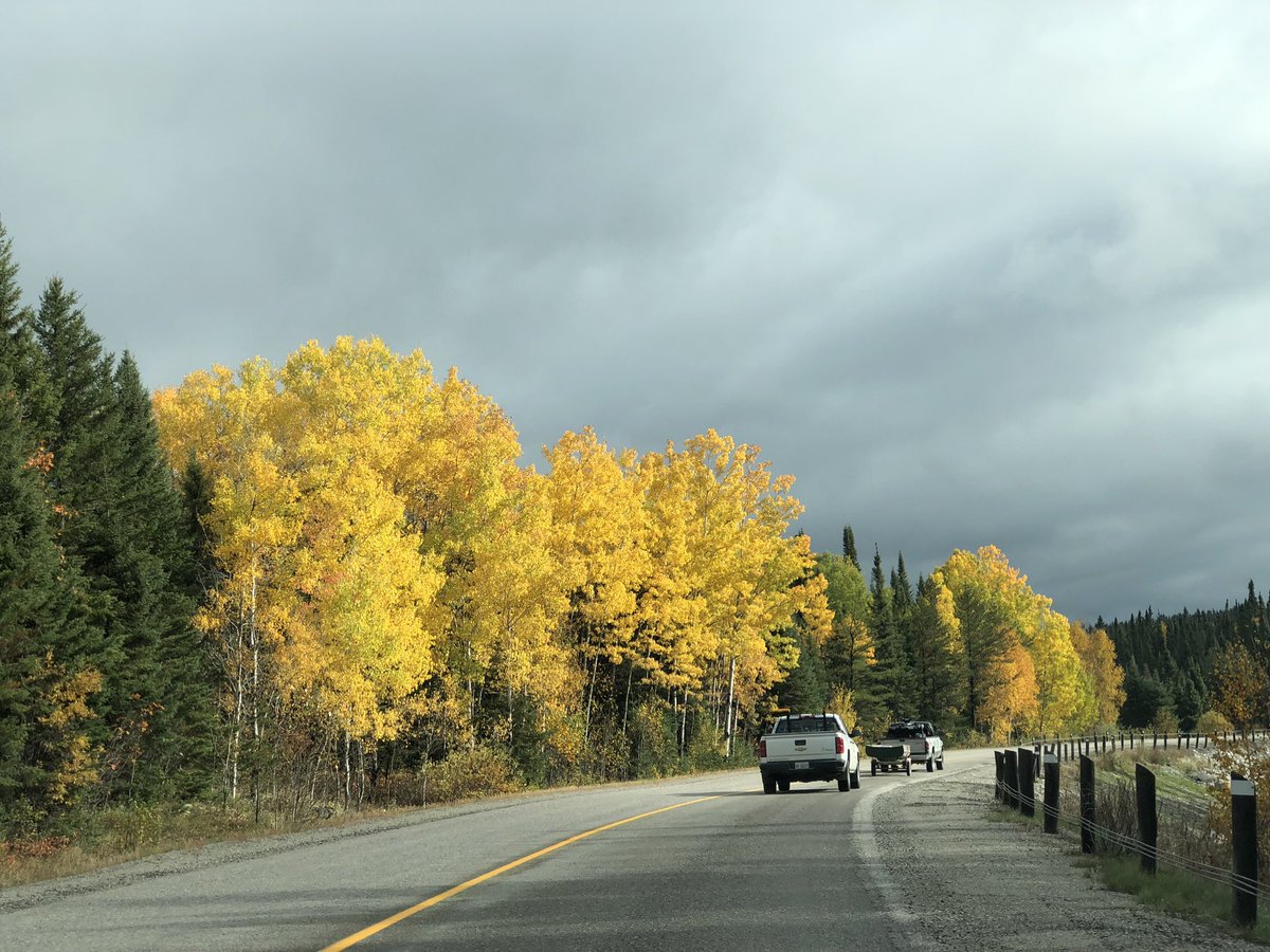 Kay B (@keebrowne2015) on Twitter photo 