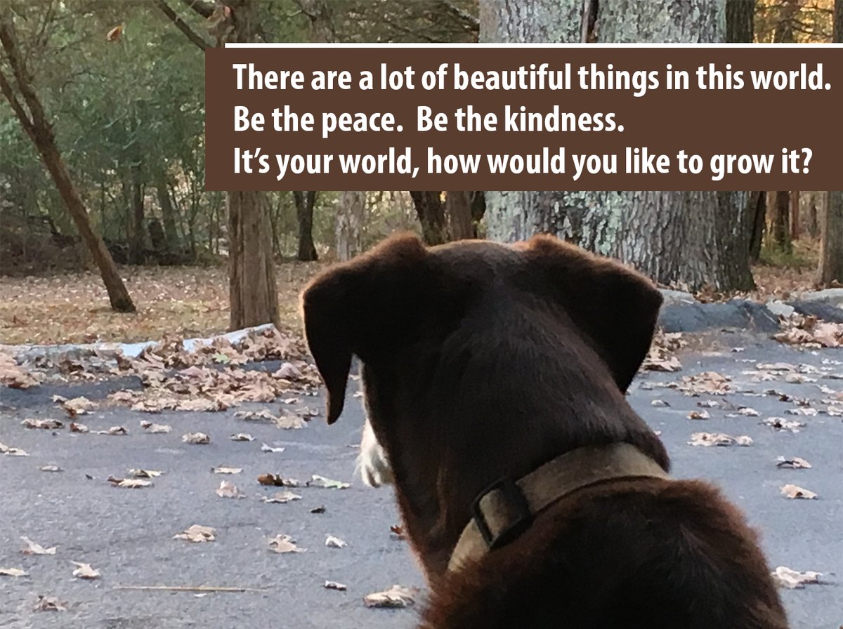 _jamesdenham's tweet photo. #YourWorld #YourPeace https://t.co/YYYI3DqE5K