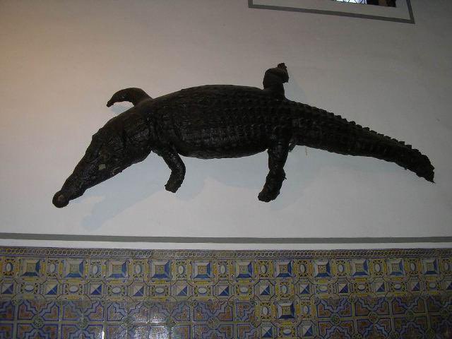 In the Colegio del Patriarca (or Seminario del Corpus Christi) there’s is the “Dragon of the Patriarch,” that hangs on the wall in the atrium and has quite a story attached, though it’s supposedly brought back from S. America during Spanish expeditions.So a black caimen instead.